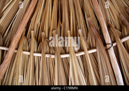 Palm tree leaves in sunroof palapa hut traditional roofing in Mexico Stock Photo