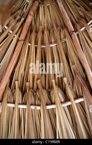 Palm tree leaves in sunroof palapa hut traditional roofing in Mexico Stock Photo