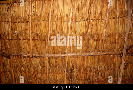 Palm tree leaves in sunroof palapa hut traditional roofing in Mexico Stock Photo