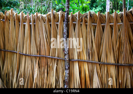 Mayan palm tree leaves wood fence in rainforest Jungle Mexico Stock Photo