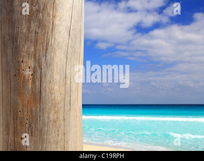 Caribbean tropical beach wood weathered pole on sea foreground Caribbean tropical beach wood weathered pole on sea foreground