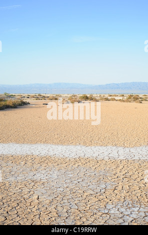 View of a saline dry lake bed by the Salton Sea, California with brush midway and mountains in the background and blue skies Stock Photo