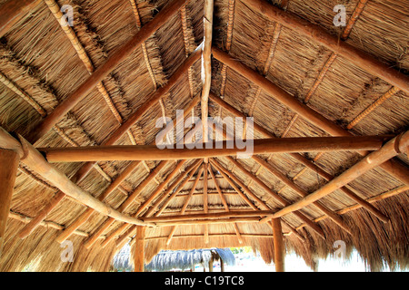 hut palapa construction wooden structure Holbox Mexico Caribbean sea ...