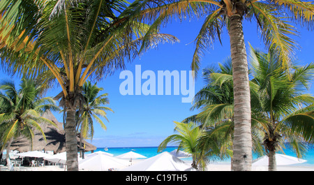 caribbean tropical beach white parasol with coconut palm tree Stock Photo