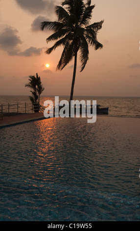 Silhouette of palm trees at the poolside, Kumarakom, Kerala, India Stock Photo