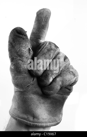 Workmans Glove - John Gollop Stock Photo