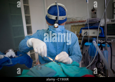 A veterinarian surgeon operates a dog at the operating room of a Pet Hospital in Condesa, Mexico City, Mexico, February 2, 2011. Stock Photo