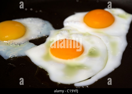 frying quails eggs in a pan Stock Photo