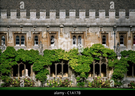 Cloisters of the Great Quad of the Magdalen College of the Oxford University, Oxfordshire, England, UK Stock Photo