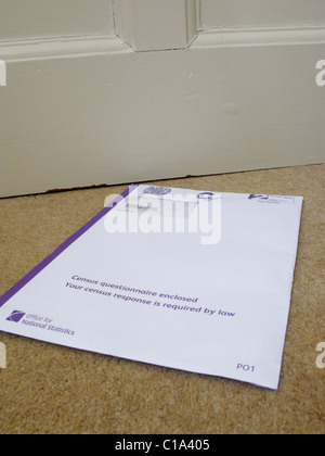 Census form 2011 UK england britain Stock Photo