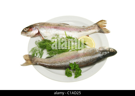 Two fresh rainbow trout with herbs and lemon on a plate Stock Photo