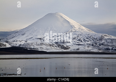 Piranacota volcano, Chile Stock Photo