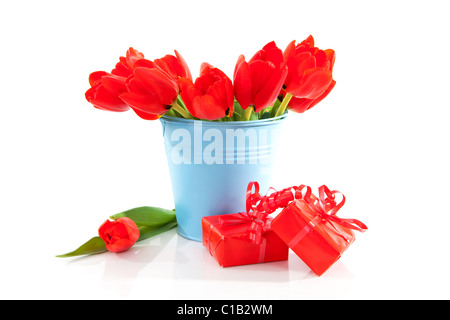 Blue bucket with tulips and red presents over white background Stock Photo