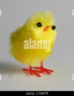 A easter chick Stock Photo