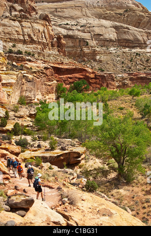 USA, Utah, Capitol Reef NP. Hikers on trail in Fremont River Canyon. Stock Photo