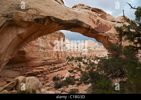 USA, Utah, Capitol Reef NP. Hickman Bridge is 133 ft long of Kayenta Sandstone. Stock Photo