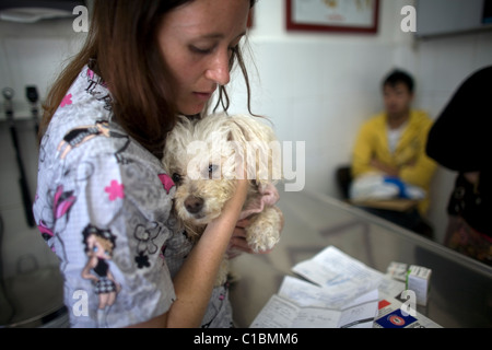 A veterinarian holds a Poodle dog as she speaks with its owners at a Pet Hospital in Condesa, Mexico City, Mexico Stock Photo