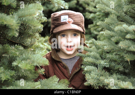 Boy in Christmas Evergreen Trees Stock Photo