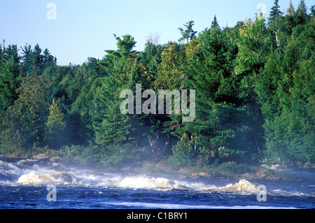 Canada, Quebec Province, La Verendrye Wildlife Reserve, the Ottawa River, the rapids Stock Photo