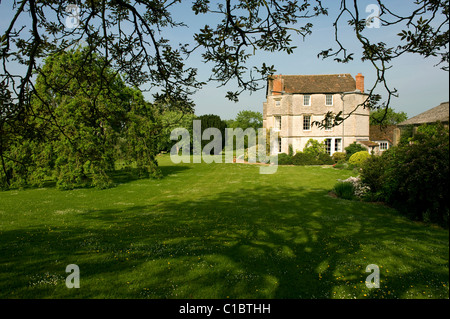 Orchard Pig, near Glstonbury, Somerset, England, United Kingdom, Europe ...