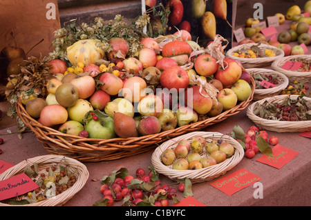 Exibithion of old fruits, Guastalla, Emilia Romagna, Italy, Europe Stock Photo