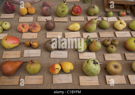 Exibithion of old fruits, Guastalla, Emilia Romagna, Italy, Europe Stock Photo