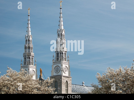 The steeples and virgin Mary atop of Notre-Dame Cathedral Basilica in Ottawa, Ontario. Stock Photo