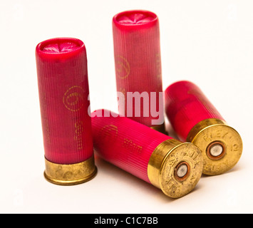 Twelve bore, or twelve gauge, shot gun cartridges on white back ground Stock Photo