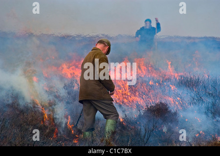 Gorse burning on the Yorkshire Moors Stock Photo