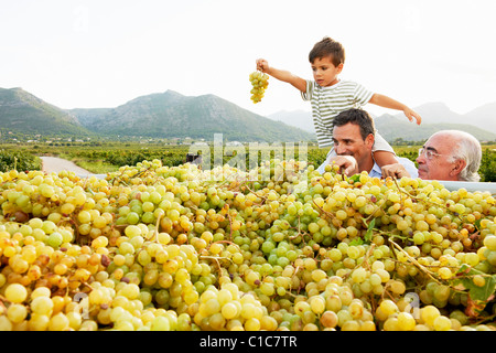 Generational family looking at grapes Stock Photo