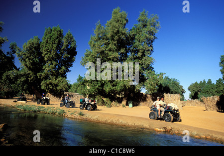 Tunisia, Southern Tunisia, motor-quad ride, oasis of Ksar Ghilane Stock Photo