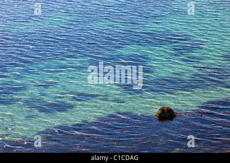 Shallow sea water ripples covering seaweed, France, Europe Stock Photo