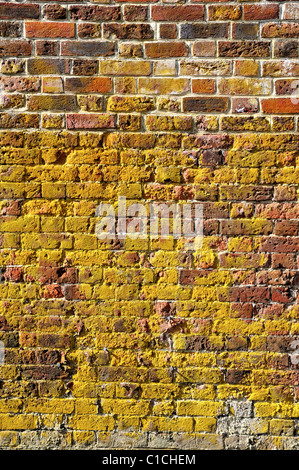 Old Brick Wall Texture Close Up Stock Photo - Alamy