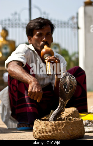 Sri Lankan Snake Charmer in front of  Viharamahadevi Park  gates in Colombo, Sri Lanka Stock Photo