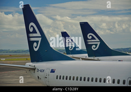 Air NZ Aircraft on tarmac, Domestic Terminal, Auckland Airport, Mangare, Auckland, Auckland Region, North Island, New Zealand Stock Photo