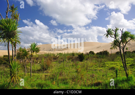 Giant Te Paki Sand Dunes, Te Paki, Cape Reinga, Northland Region, North Island, New Zealand Stock Photo