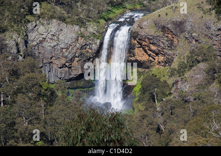 The Ebor Falls on the Guy Fawkes River in New South Wales Australia Stock Photo