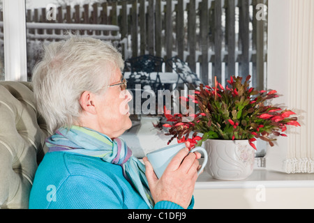 Depressed senior woman alone holding hot drink feeling sad and lonely looking out of a window to snow with a christmas cactus on a windowsill. UK Stock Photo