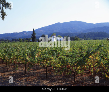 Napa Valley winery, Napa Valley, California, United States of America Stock Photo