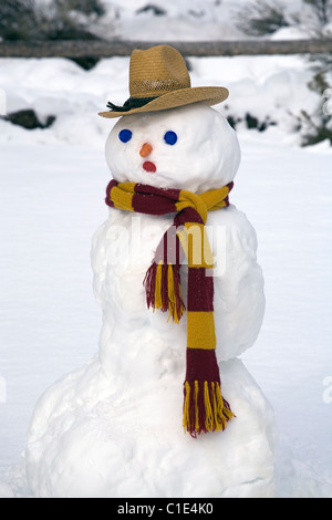 A snowman wearing a scarf and cowboy hat Stock Photo