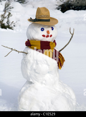 A snowman wearing a scarf and cowboy hat Stock Photo