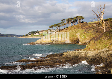 The view North from near Carricknath Point to St Mawes Castle on Cornwalls Roseland Peninsular Stock Photo