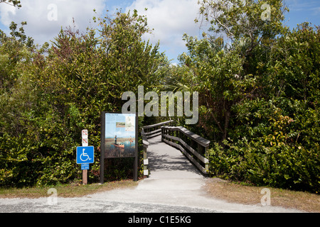 Entrance to Pa-hay-okee trail, Everglades National Park, Florida, USA Stock Photo
