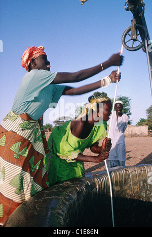 Senegal, Thies region, Cayor, Garabou-Niass Wolof village, women drawing water from the village well Stock Photo