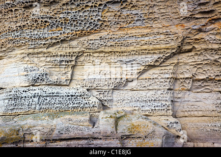 Pitted Rocks Cliffs Pitted limestone cliff with pebbles on Elgol beach Skye Stock Photo - Alamy