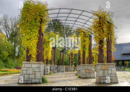 Climbing Plants on Pergola in the Fall at the Park Stock Photo