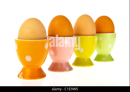 Four brown eggs in colorful cups on white background Stock Photo