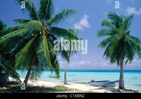 France, French Polynesia, Takapoto, lagoon and bank with coconut trees Stock Photo