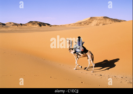 Niger, Sahara, Tenere desert, tuareg camel rider Stock Photo