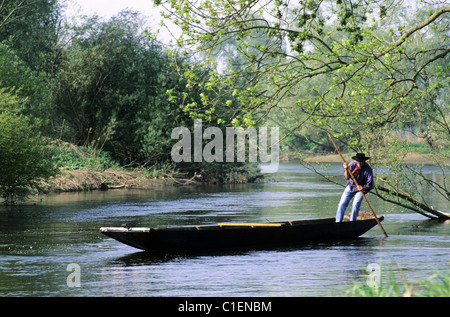 France, Bas Rhin, boatman on the river of Ried Stock Photo